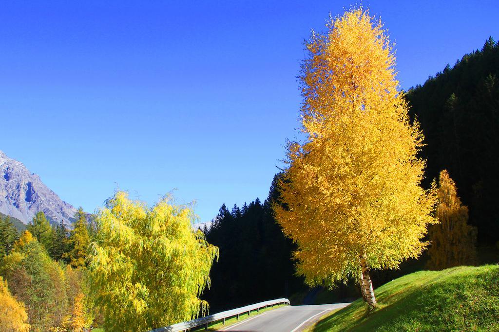 Residence Raethia Tra Bormio E Livigno Pradelle Luaran gambar